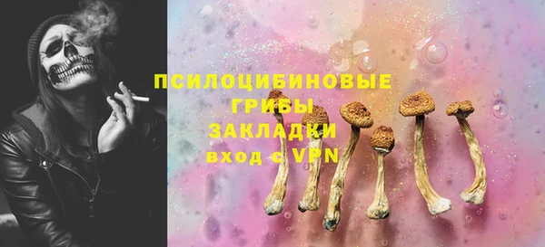 спиды Алексеевка