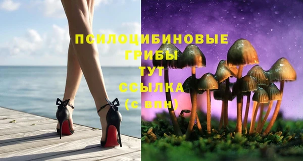 МДПВ Абдулино