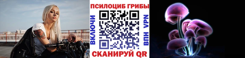 Псилоцибиновые грибы Cubensis  Ярославль 