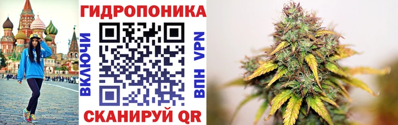 Бошки Шишки ГИДРОПОН  магазин продажи наркотиков  Ярославль 